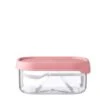 Mepal Fruitbox Take A Break Roze 2 Mepal Fruitbox Take A Break Roze -Buiten Kamperen 31221 mepal fruitbox take a break