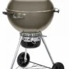 Weber Master-Touch GBS C-5750 Smoke / Houtskool Barbecue -Buiten Kamperen 52671 weber master touch gbs c 5750 smoke