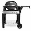 Weber Pulse 2000 Met Stand / Elektrische Barbecue -Buiten Kamperen 67913 weber pulse 2000 met stand