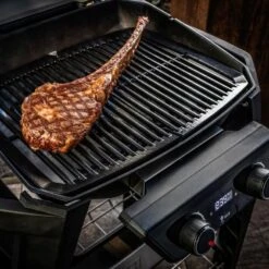Weber Pulse 2000 Met Stand / Elektrische Barbecue -Buiten Kamperen 93986 weber pulse 2000 met stand elektrische barbecue