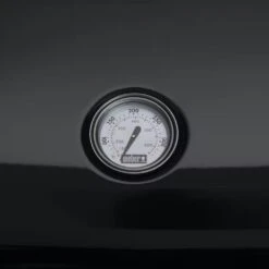 Weber Lumin Elektrische Barbecue Met Onderstel -Buiten Kamperen 95868 weber lumin elektrische barbecue met onderstel